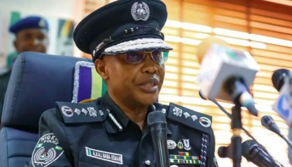 IGP Bans Use Of SPY Police License Plate Numbers in Nigeria